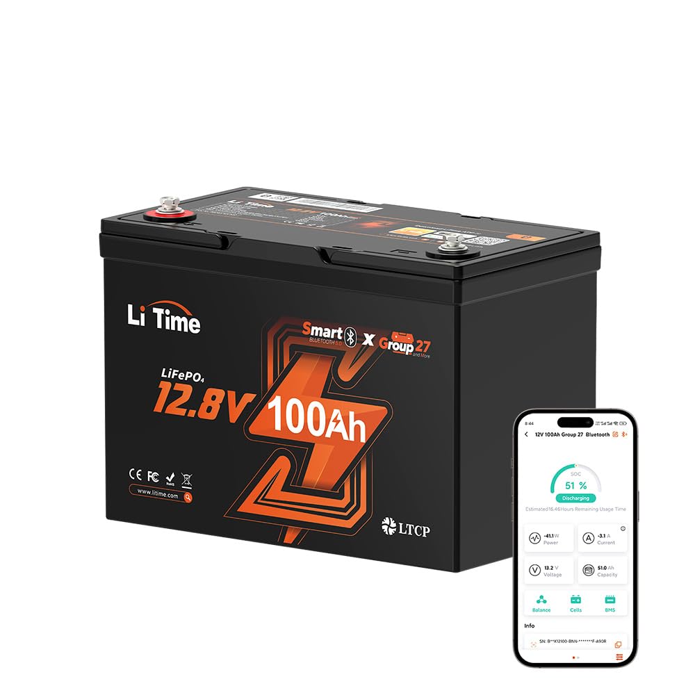 12V 100Ah LiFePO4 Battery N14600