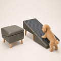 Folding Dog Ramp L89293