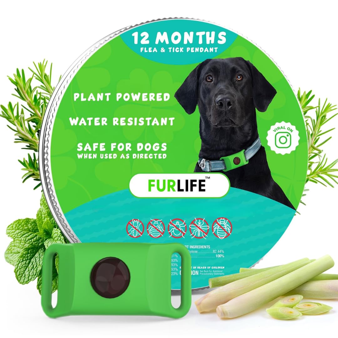 Green Dog Tag C753