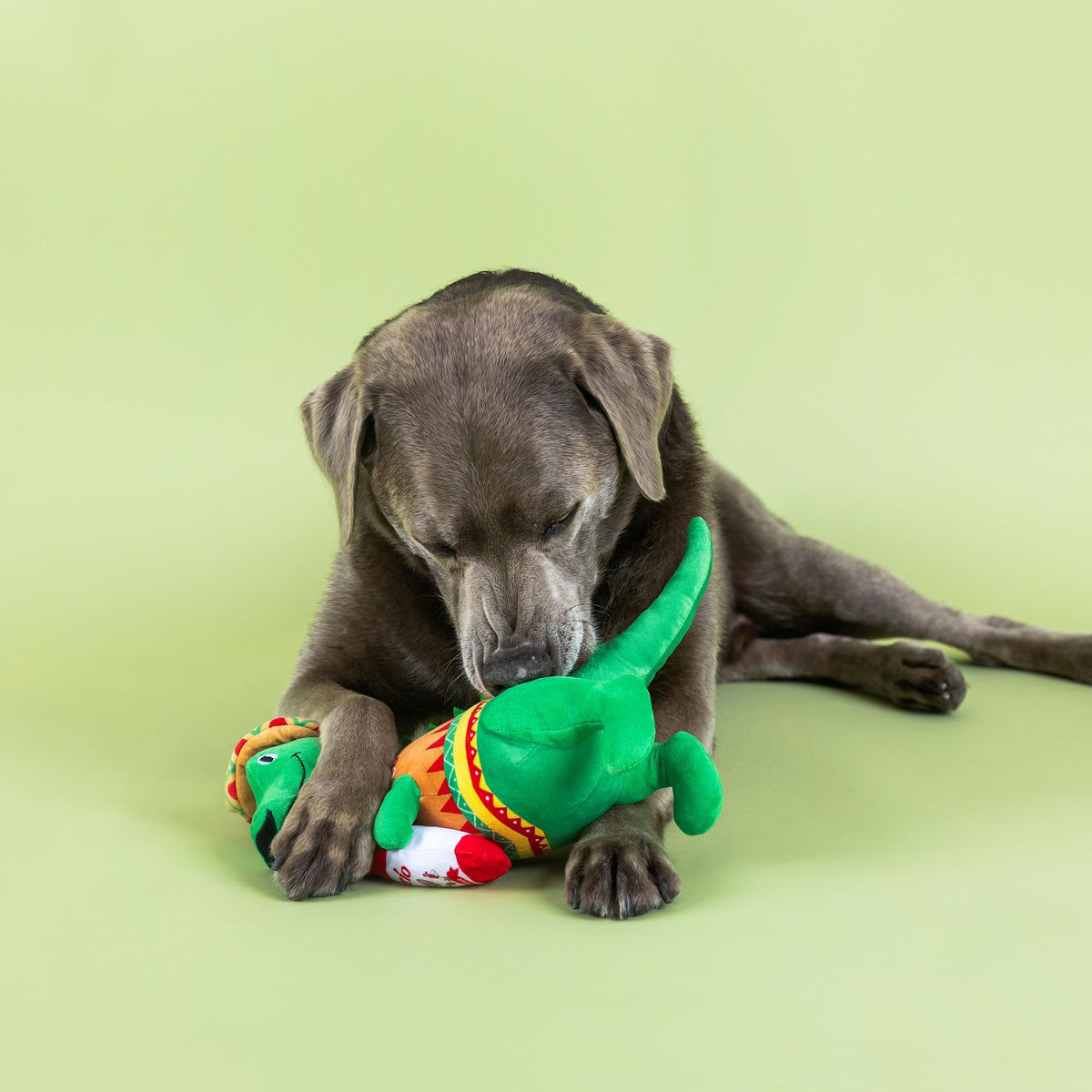 Plush Dog Toy R504749