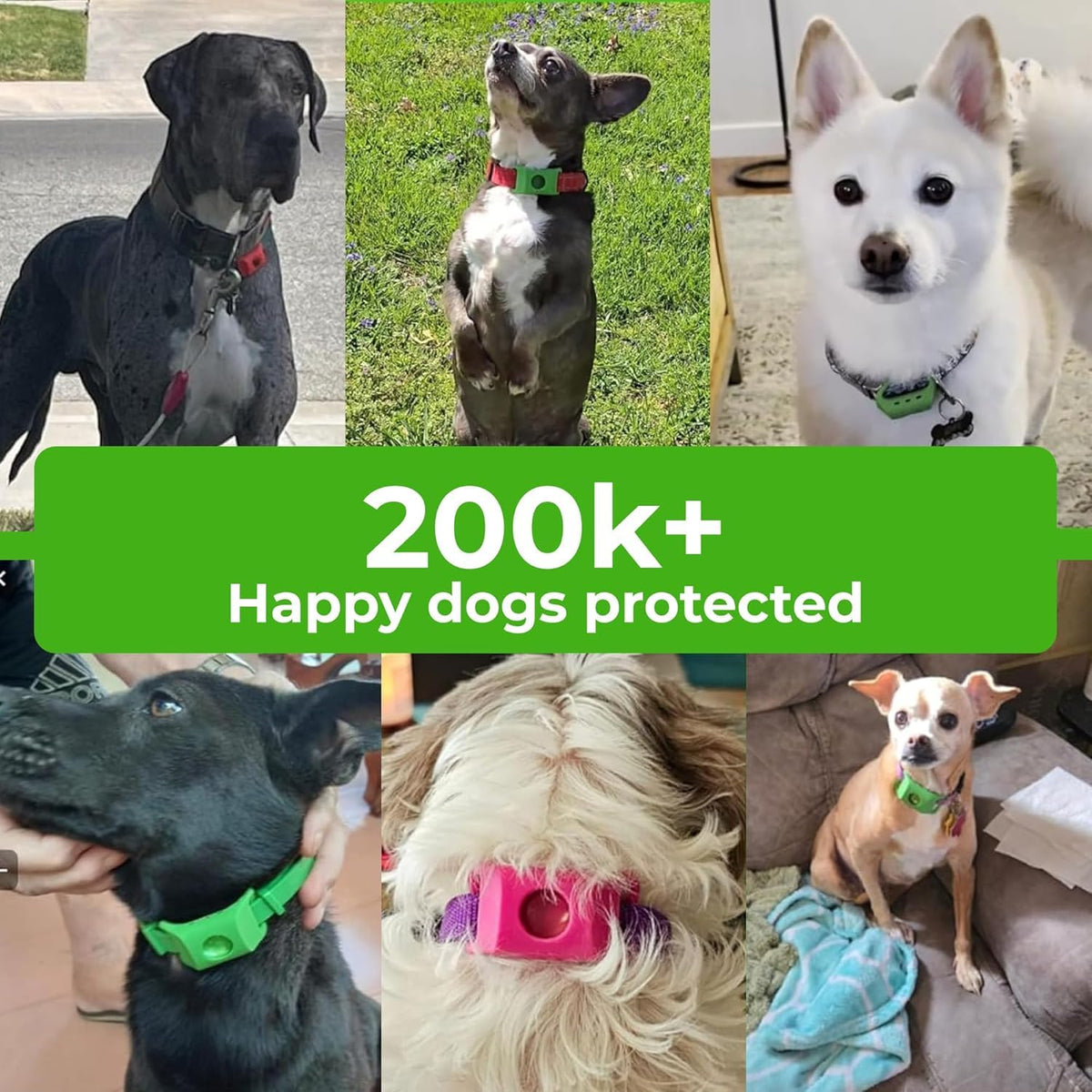 Green Dog Tag C753
