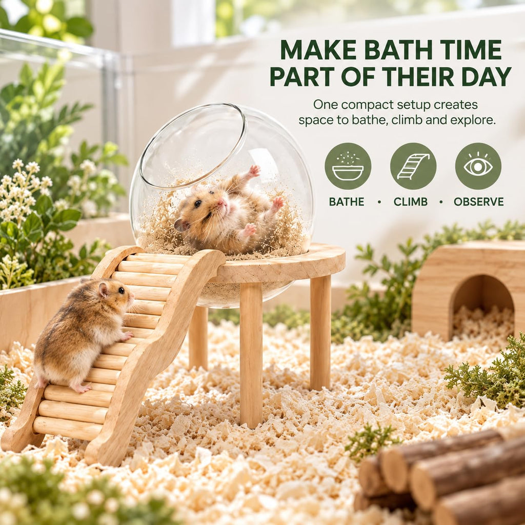 Hamster Bath Container with Clear Dome F18611