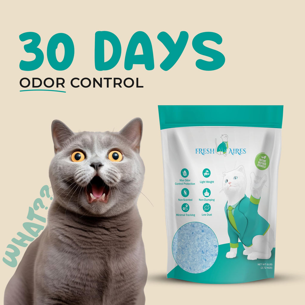 Unscented Lightweight Non-Clumping Crystal Cat Litter Q740230