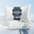 Goose Feather King Size Set of 2 Cotton Pillows I636332