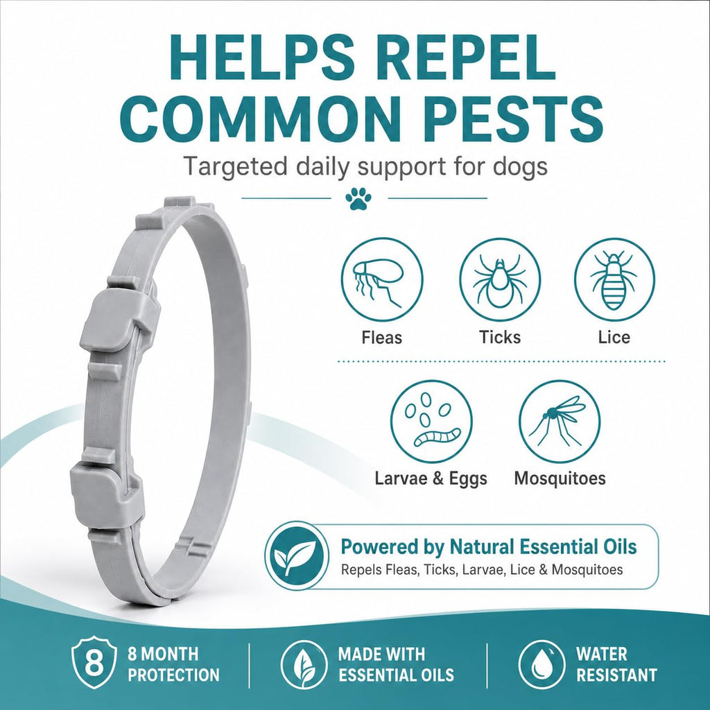 Flea and Tick Collar for Dogs, 4 Pack, Small Dogs Under 18 lbs F826240
