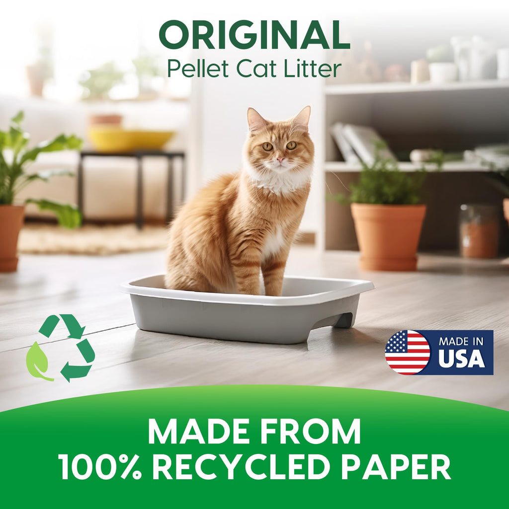 Paper Non-Clumping Cat Litter 12 Pound C7691