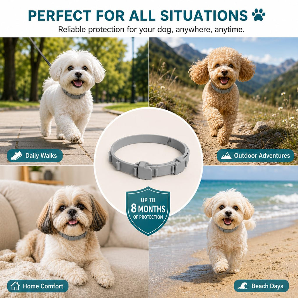 Flea and Tick Collar for Dogs, 4 Pack, Small Dogs Under 18 lbs F826240