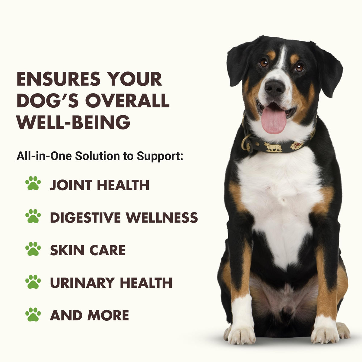 10-in-1 Dog Support 32 oz Unflavored M589