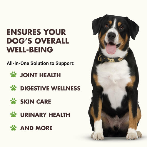 10-in-1 Dog Support 32 oz Unflavored M589