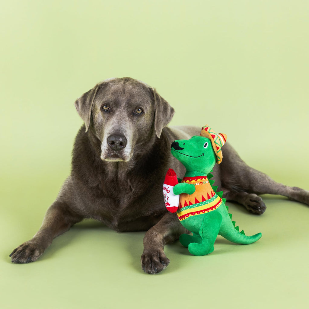 Plush Dog Toy R504749