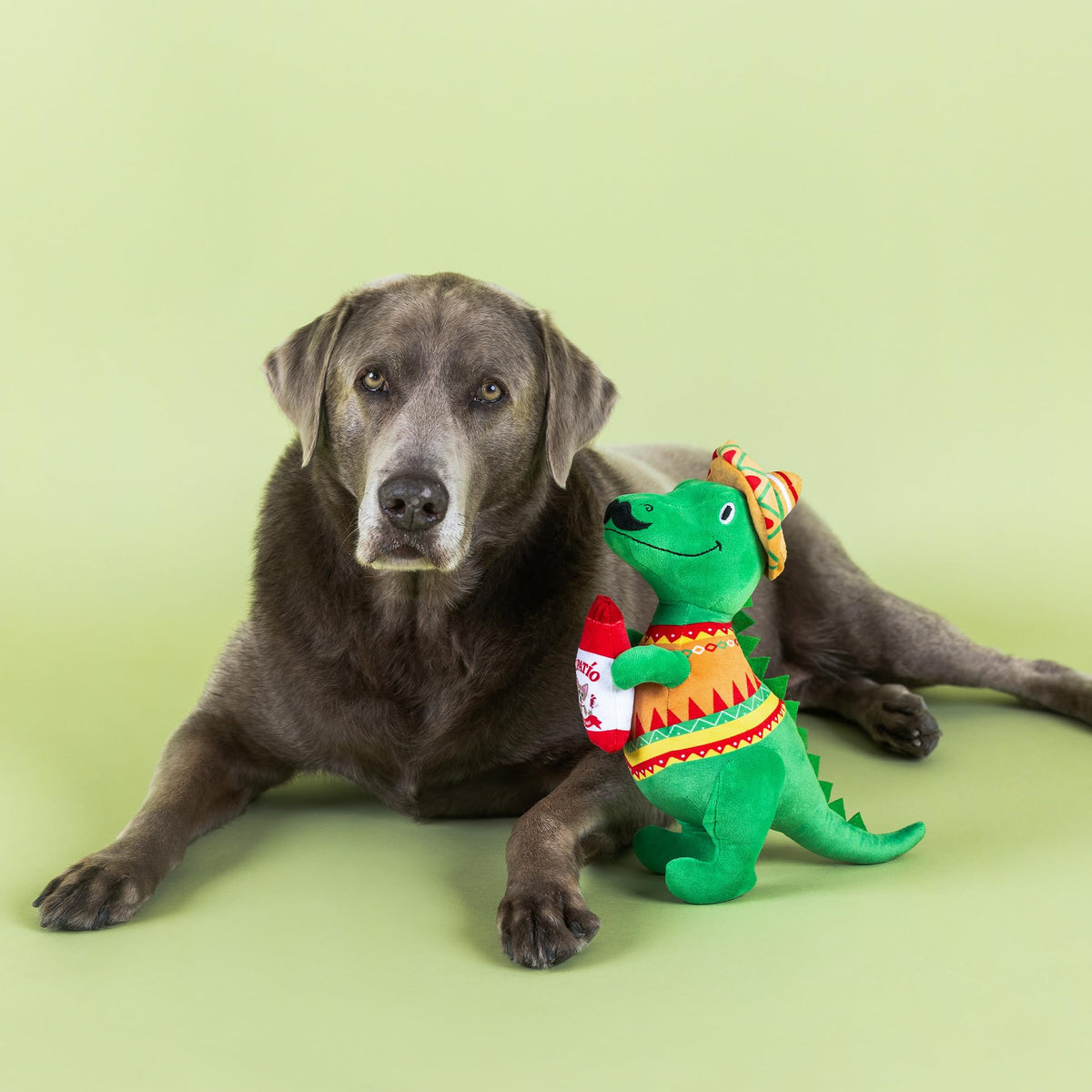Plush Dog Toy R504749
