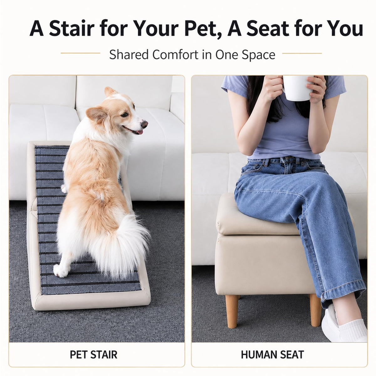 Folding Dog Ramp L89293