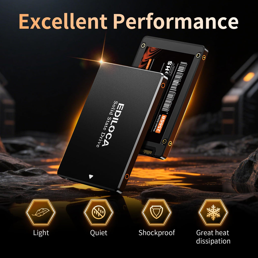 256GB 2.5" SATA III Internal Solid State Drive R708333