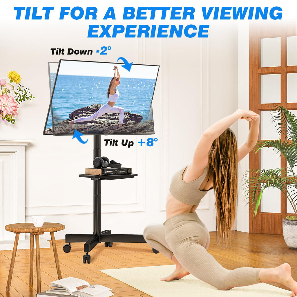 Mobile TV Stand for 23-65 Inch Flat Curved TVs Black P411