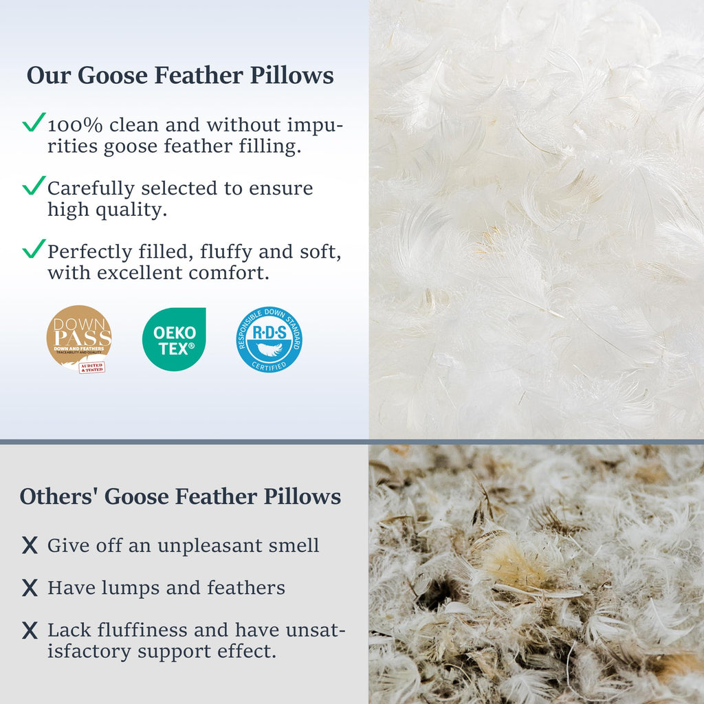 Goose Feather King Size Set of 2 Cotton Pillows I636332