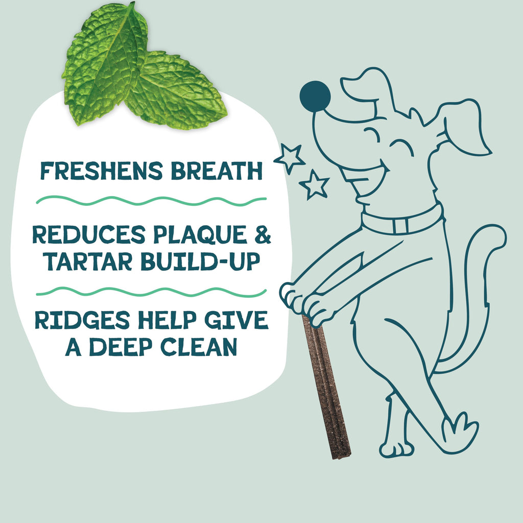 Mighty Mint Dental Chews for Dogs 18ct U65542