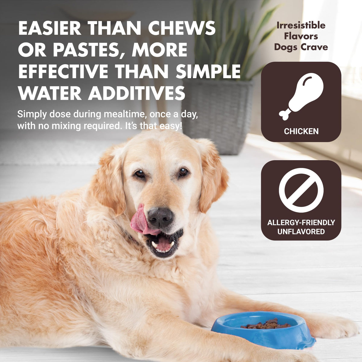 10-in-1 Dog Support 32 oz Unflavored M589